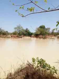 Ehitusmaa Müüa 0000 Brikama Gambia  DE