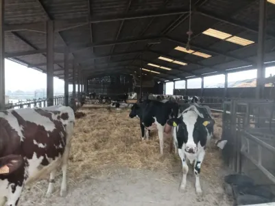 Talu Müüa 54000 GRAFIGNY FR