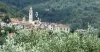 Korter Müüa - 18010 Villa Faraldi IT Thumbnail 7